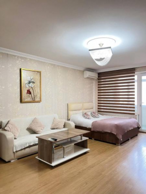 Cozy studio flat